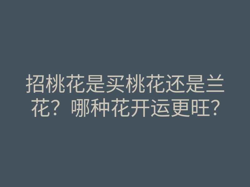 招桃花是买桃花还是兰花？哪种花开运更旺？