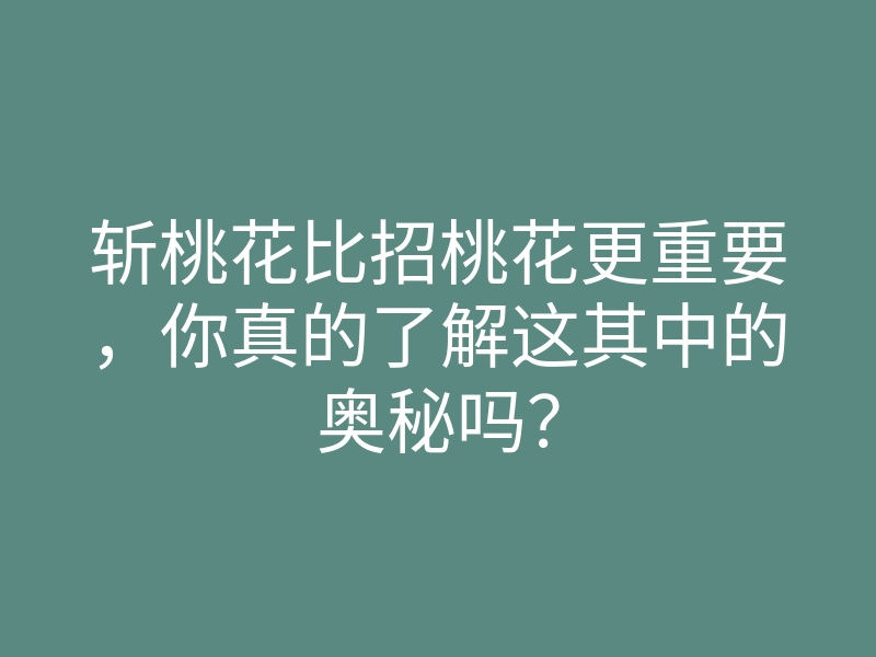 斩桃花比招桃花更重要,你真的了解这其中的奥秘吗?