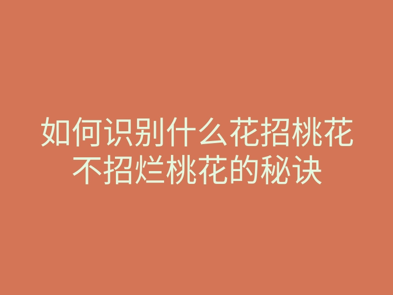 如何识别什么花招桃花不招烂桃花的秘诀