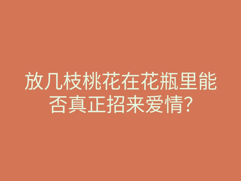 放几枝桃花在花瓶里能否真正招来爱情?