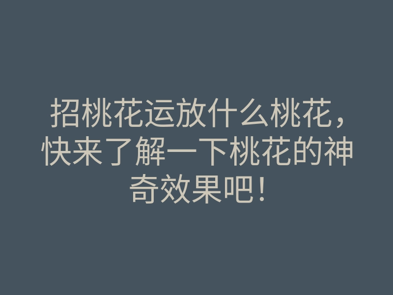 招桃花运放什么桃花,快来了解一下桃花的神奇效果吧!