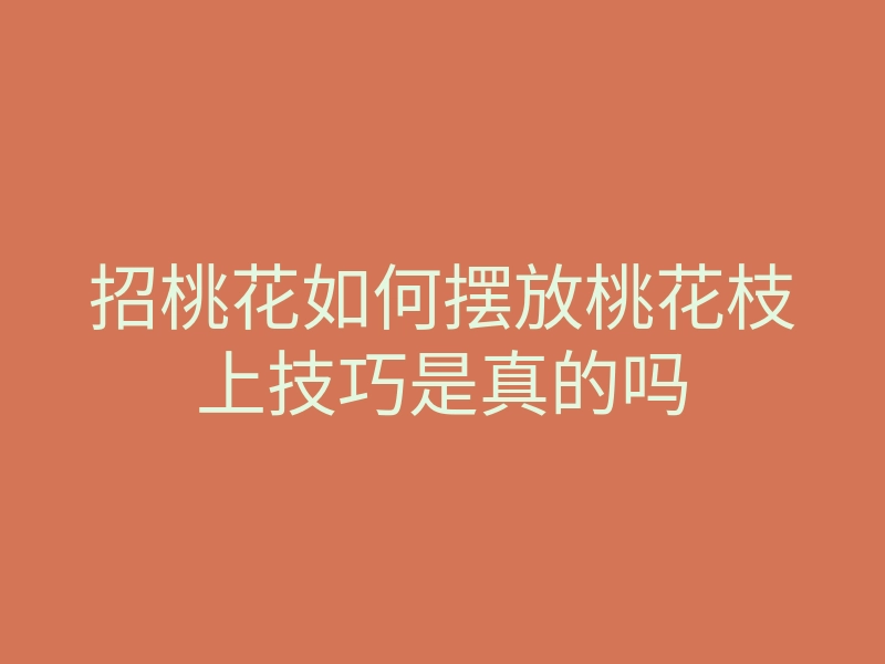 招桃花如何摆放桃花枝上技巧是真的吗