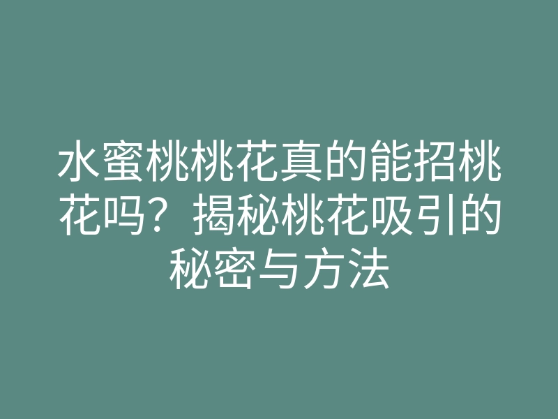 水蜜桃桃花真的能招桃花吗?揭秘桃花吸引的秘密与方法
