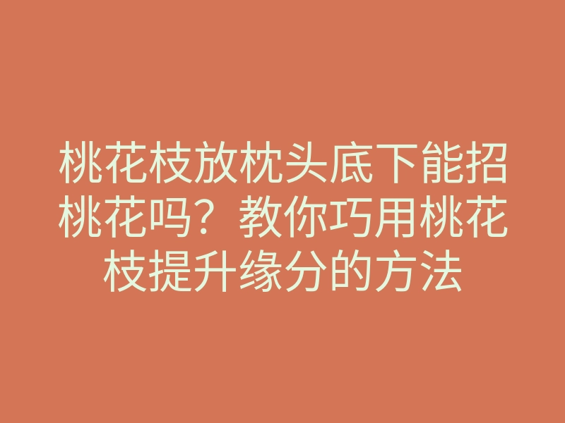 桃花枝放枕头底下能招桃花吗?教你巧用桃花枝提升缘分的方法