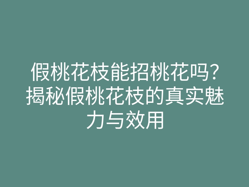 假桃花枝能招桃花吗?揭秘假桃花枝的真实魅力与效用