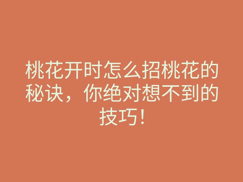 桃花开时怎么招桃花的秘诀,你绝对想不到的技巧!