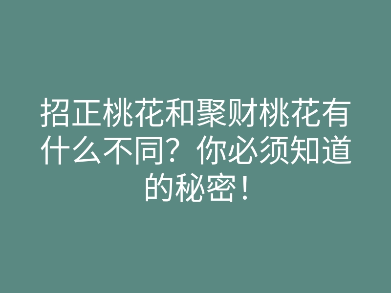 招正桃花和聚财桃花有什么不同？你必须知道的秘密！