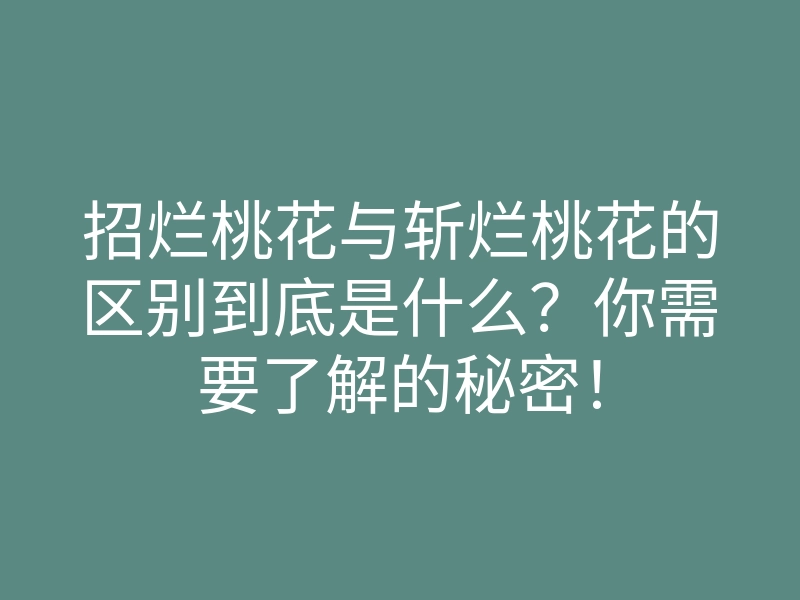 招烂桃花与斩烂桃花的区别到底是什么?你需要了解的秘密!