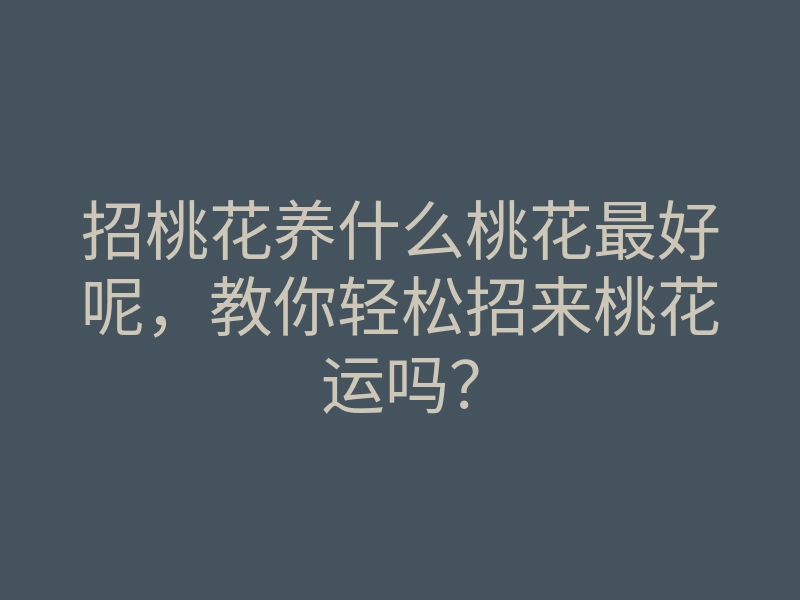 招桃花养什么桃花最好呢，教你轻松招来桃花运吗？