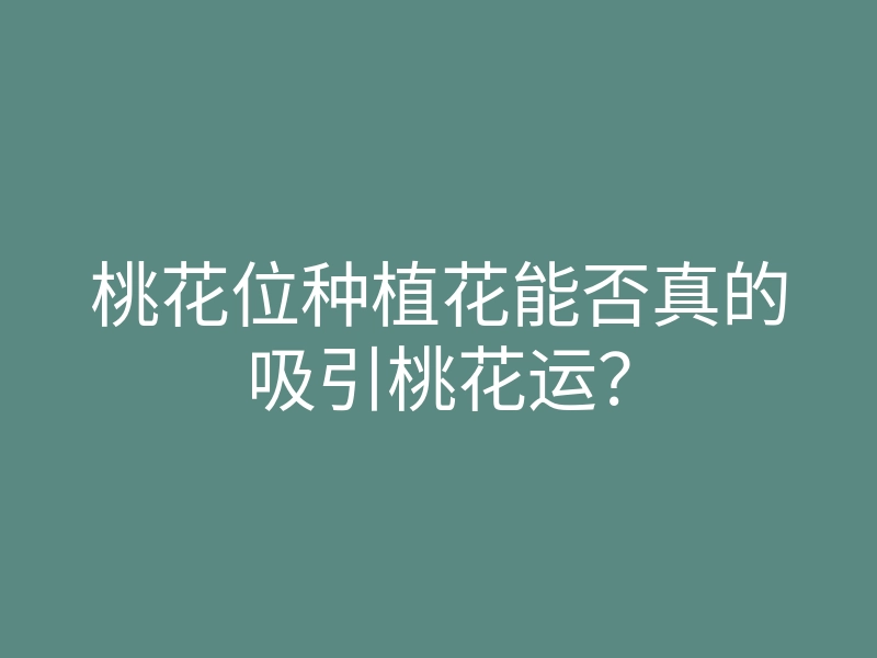 桃花位种植花能否真的吸引桃花运？