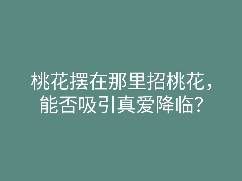 桃花摆在那里招桃花,能否吸引真爱降临?