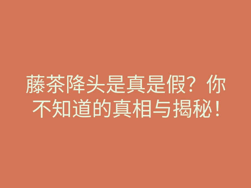 藤茶降头是真是假?你不知道的真相与揭秘!