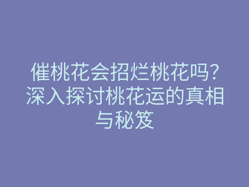 催桃花会招烂桃花吗?深入探讨桃花运的真相与秘笈