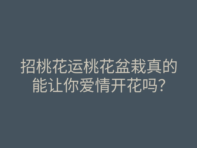 招桃花运桃花盆栽真的能让你爱情开花吗?