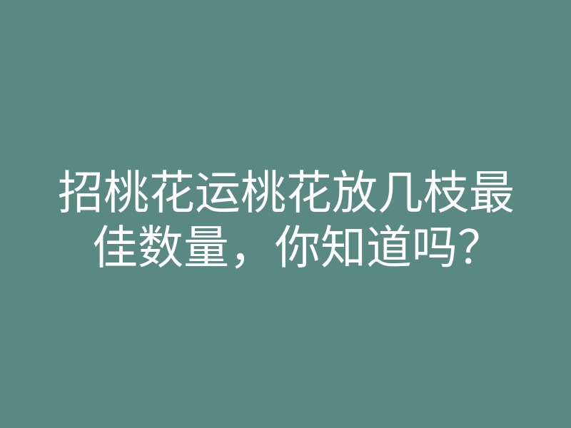 招桃花运桃花放几枝最佳数量，你知道吗？
