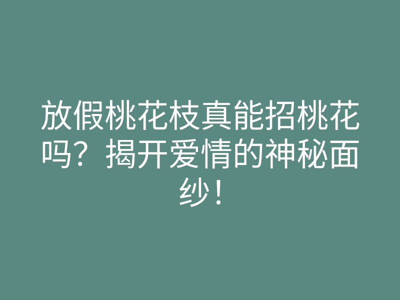 放假桃花枝真能招桃花吗?揭开爱情的神秘面纱!