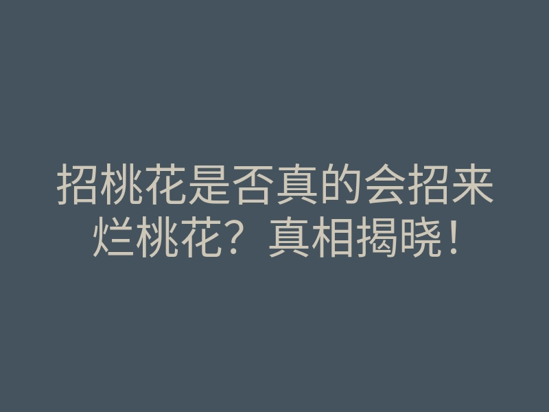 招桃花是否真的会招来烂桃花?真相揭晓!