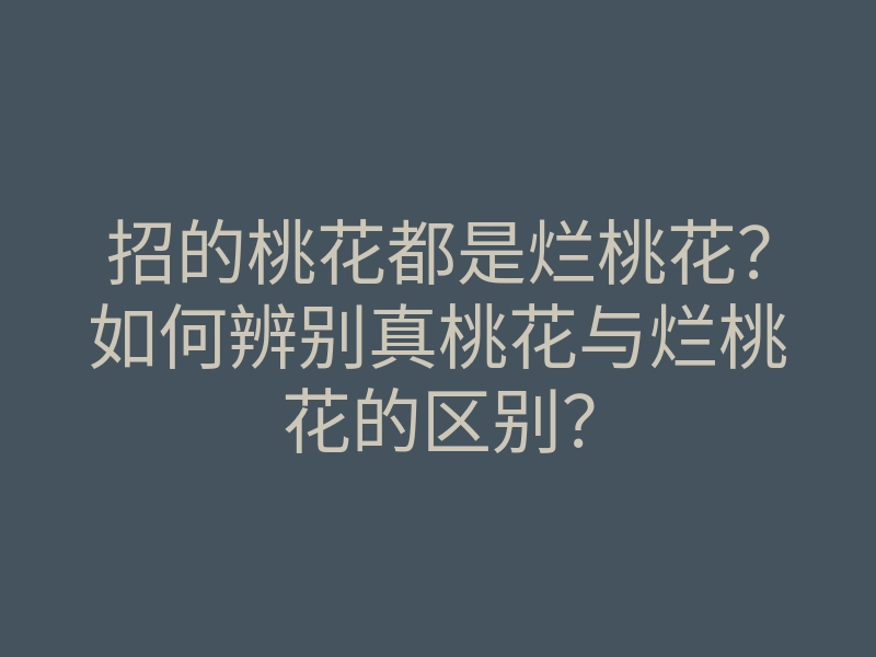 招的桃花都是烂桃花?如何辨别真桃花与烂桃花的区别?