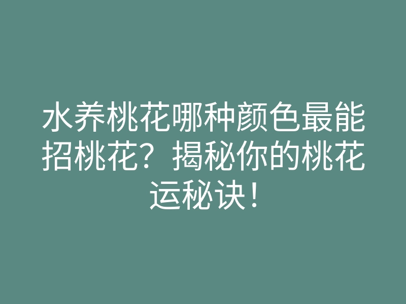 水养桃花哪种颜色最能招桃花?揭秘你的桃花运秘诀!