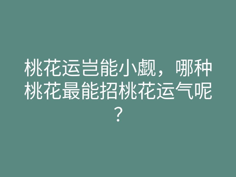 桃花运岂能小觑,哪种桃花最能招桃花运气呢?