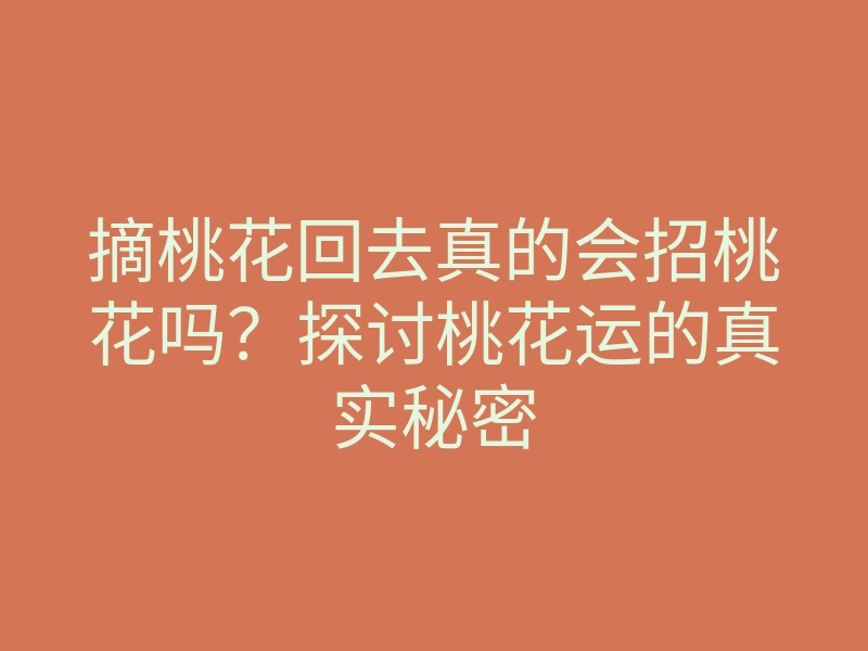 摘桃花回去真的会招桃花吗?探讨桃花运的真实秘密