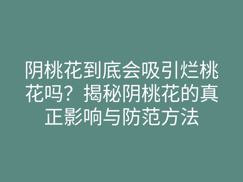 阴桃花到底会吸引烂桃花吗?揭秘阴桃花的真正影响与防范方法