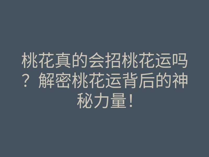 桃花真的会招桃花运吗?解密桃花运背后的神秘力量!