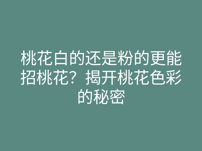 桃花白的还是粉的更能招桃花?揭开桃花色彩的秘密