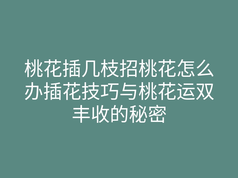 桃花插几枝招桃花怎么办插花技巧与桃花运双丰收的秘密