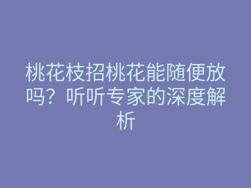 桃花枝招桃花能随便放吗?听听专家的深度解析