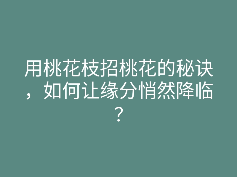 用桃花枝招桃花的秘诀,如何让缘分悄然降临?