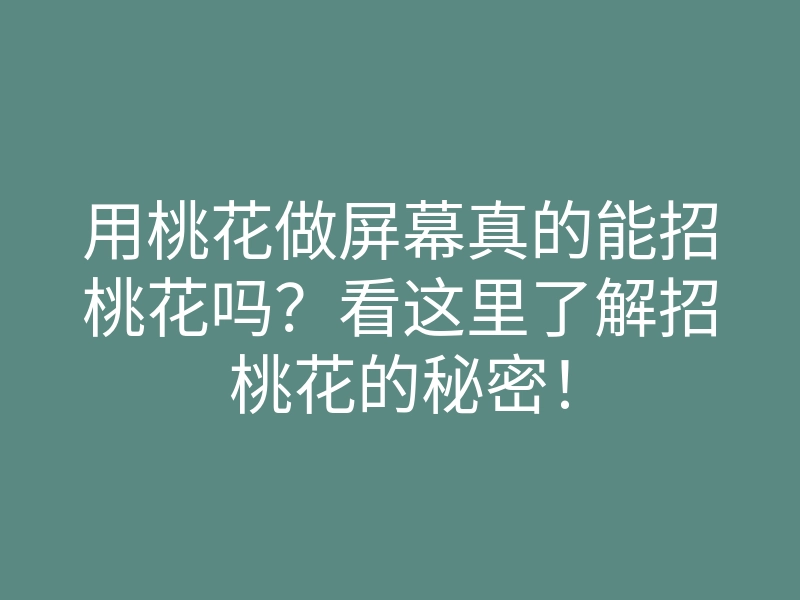 用桃花做屏幕真的能招桃花吗?看这里了解招桃花的秘密!