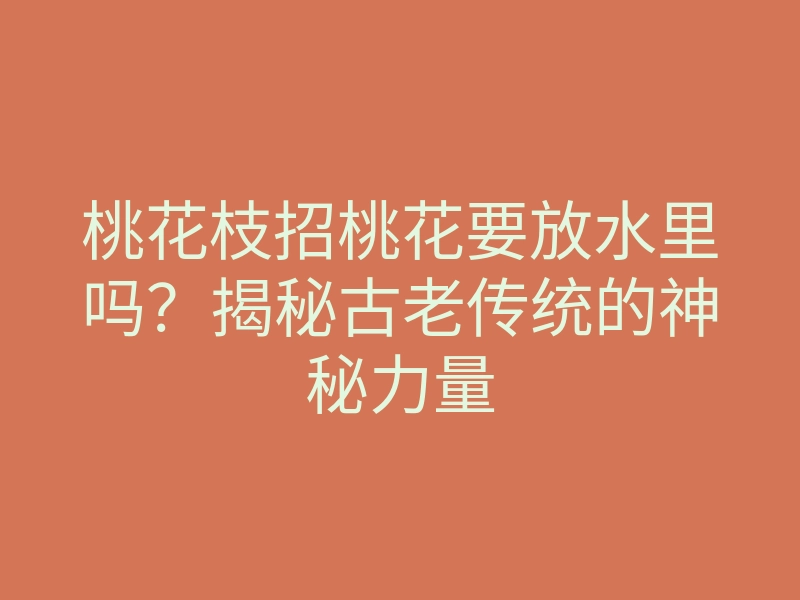 桃花枝招桃花要放水里吗?揭秘古老传统的神秘力量
