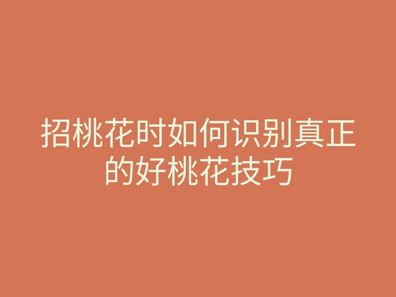 招桃花时如何识别真正的好桃花技巧