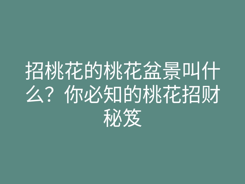 招桃花的桃花盆景叫什么?你必知的桃花招财秘笈