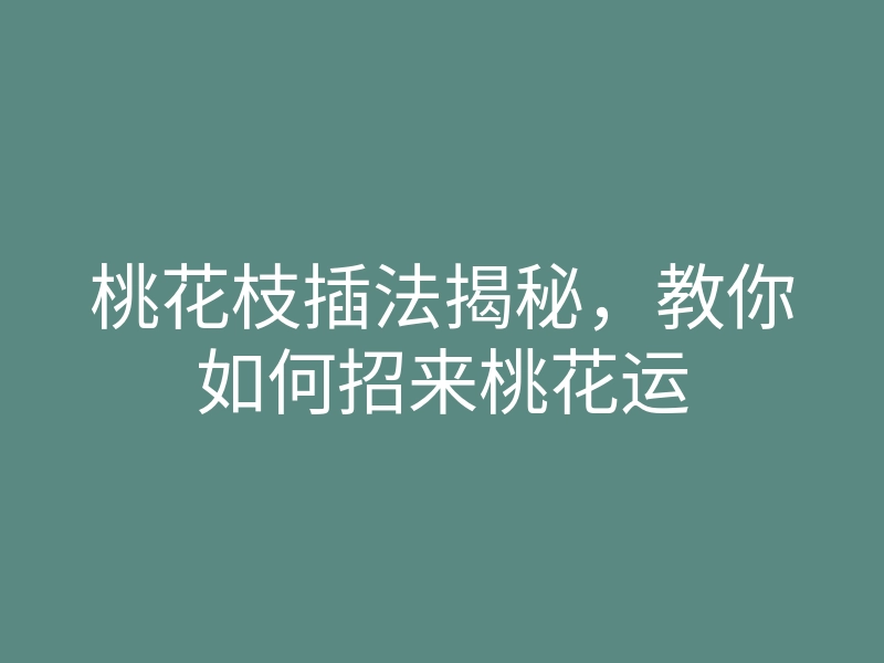 桃花枝插法揭秘,教你如何招来桃花运