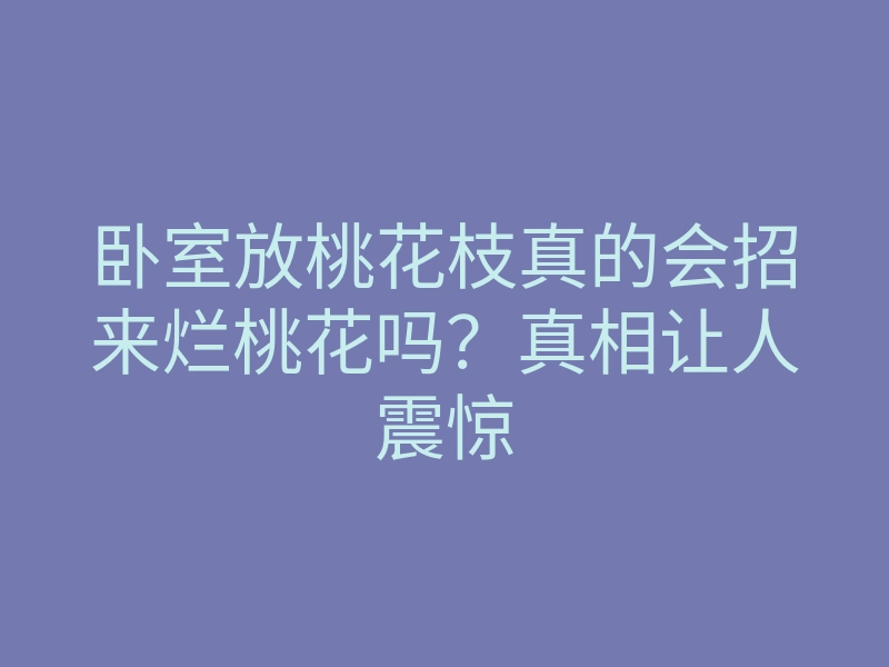 卧室放桃花枝真的会招来烂桃花吗?真相让人震惊