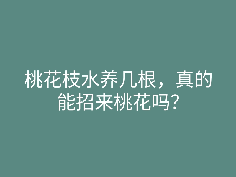 桃花枝水养几根,真的能招来桃花吗?