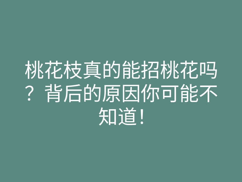 桃花枝真的能招桃花吗?背后的原因你可能不知道!
