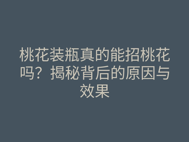 桃花装瓶真的能招桃花吗?揭秘背后的原因与效果