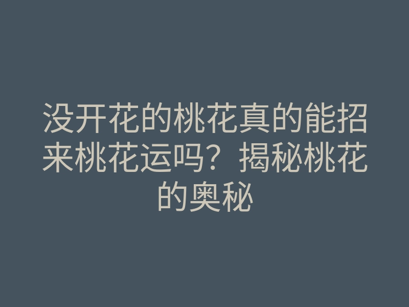 没开花的桃花真的能招来桃花运吗?揭秘桃花的奥秘