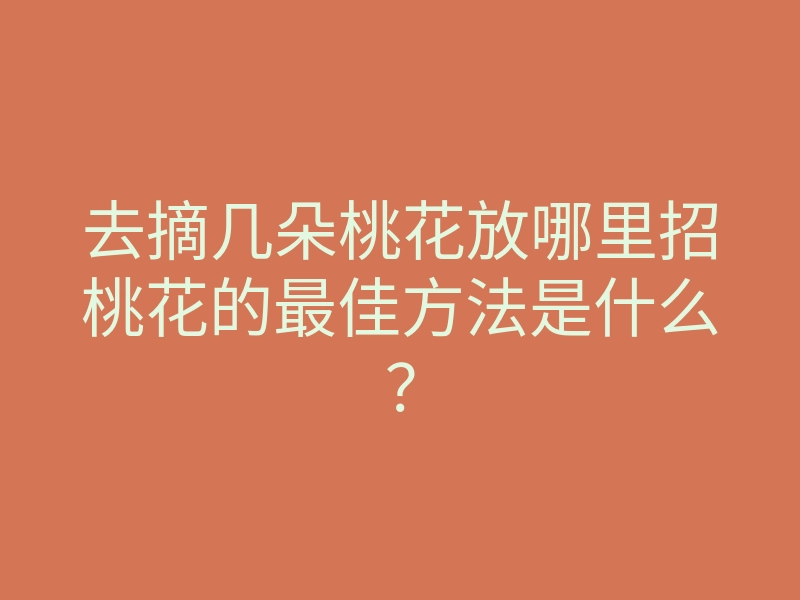 去摘几朵桃花放哪里招桃花的最佳方法是什么？