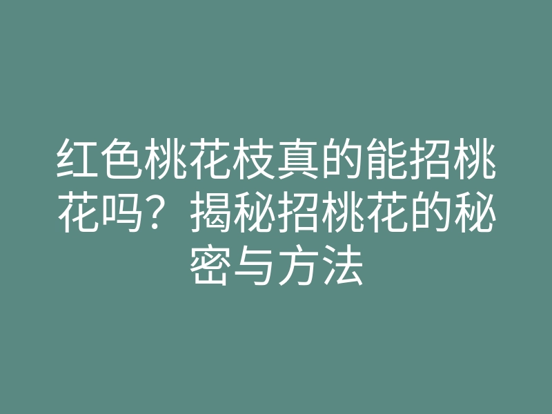 红色桃花枝真的能招桃花吗?揭秘招桃花的秘密与方法