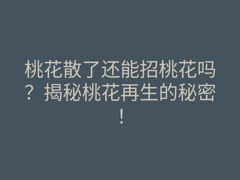 桃花散了还能招桃花吗?揭秘桃花再生的秘密!