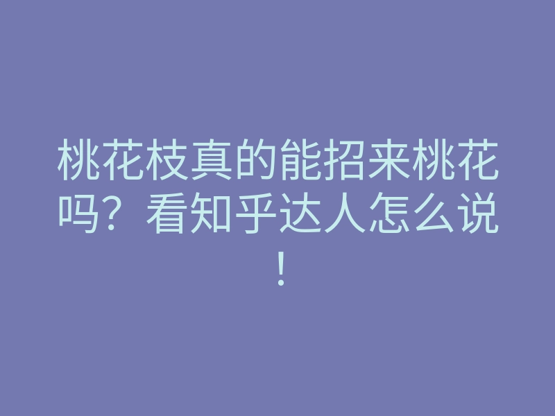 桃花枝真的能招来桃花吗?看知乎达人怎么说!