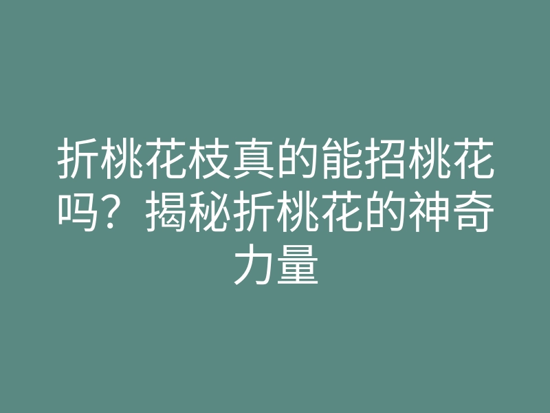 折桃花枝真的能招桃花吗?揭秘折桃花的神奇力量
