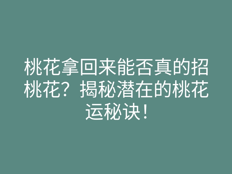桃花拿回来能否真的招桃花？揭秘潜在的桃花运秘诀！
