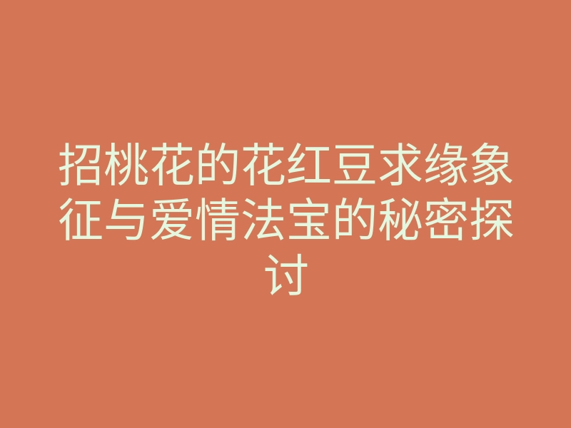 招桃花的花红豆求缘象征与爱情法宝的秘密探讨