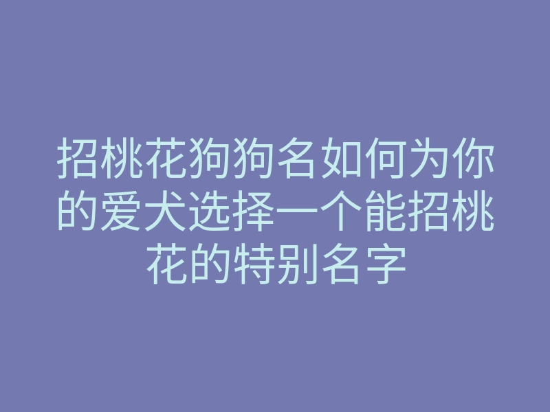 招桃花狗狗名如何为你的爱犬选择一个能招桃花的特别名字