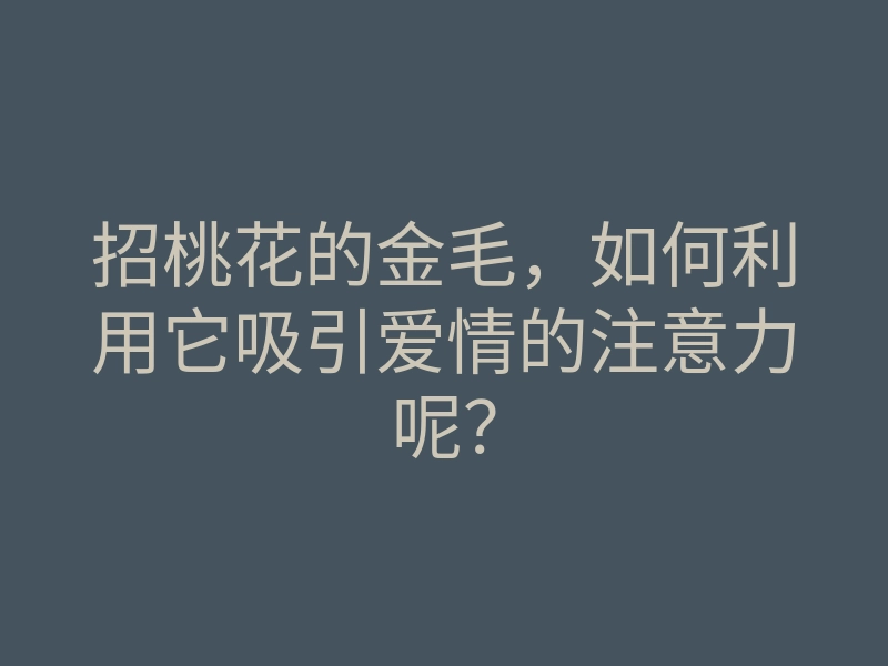 招桃花的金毛,如何利用它吸引爱情的注意力呢?